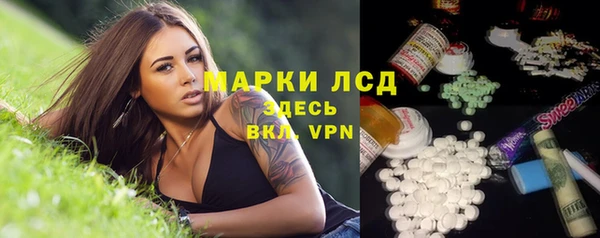 индика Балахна