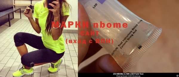 индика Балахна