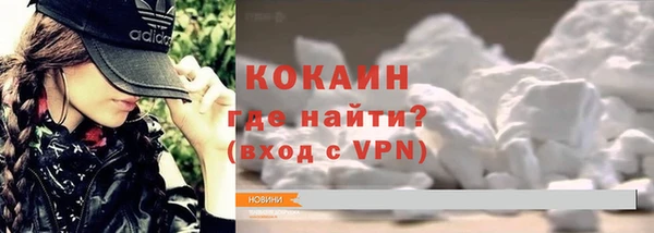 прущие грибы Баксан