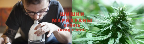 прущие грибы Баксан