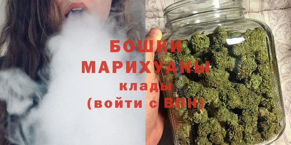 прущие грибы Баксан