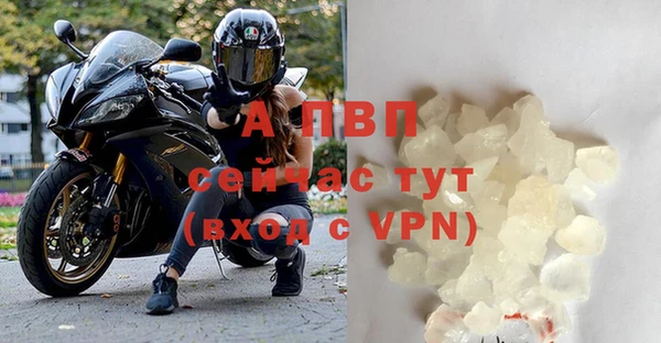 индика Балахна
