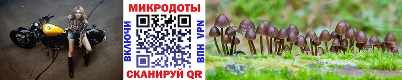 Галлюциногенные грибы MAGIC MUSHROOMS  купить закладку  Хотьково 